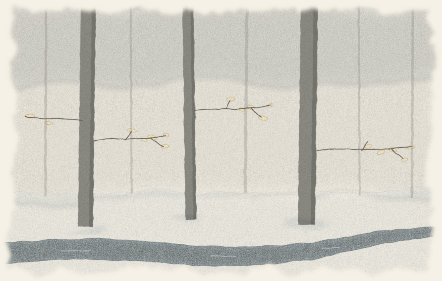 Watercolor of old grey beech trunks in a winter wood, pale tan dead leaves still clinging to the low twigs, snow on the ground and a dark ribbon of river running between the trees